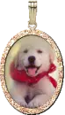 dog charm