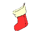 bear in a stocking