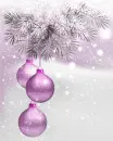 ornaments