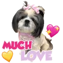 much love