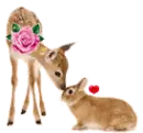 fawn and a bunny