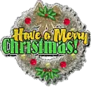 have a merry christmas