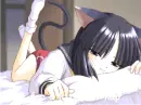 cat nap