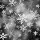 Silver & Black Winter 