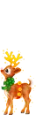 reindeer