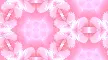 pink flowers background