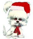christmas dog