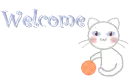 welcome white kitty