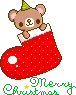 bear in a stocking