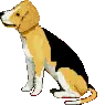 dog barking