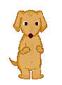 dancing dog2