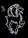 capricorn