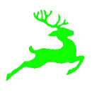 reindeer