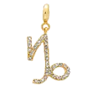 capricorn