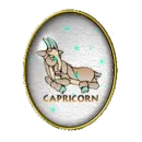 capricorn