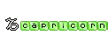 capricorn