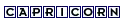 capricorn