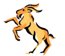capricorn