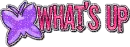 what's up