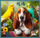 My Pets