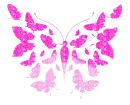 butterflies