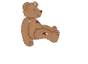 teddy bear collector