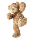 teddy bear