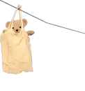 teddy bear