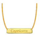 Capricorn necklace