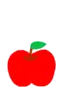 bear on apple
