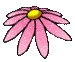pink flower