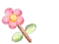pink flower
