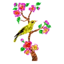 bird