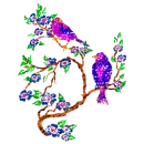 birds
