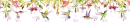 hummingbirds