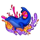 dolphin