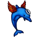 dolphin angel