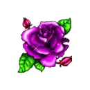 rose