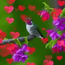 hummingbird