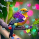 bird