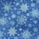 Winter Snowflakes 