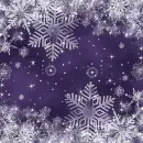 Winter Purple 