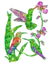 hummingbirds