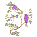 birds