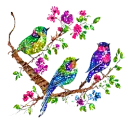birds