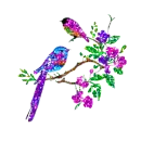 birds