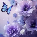 flowers and butterflies