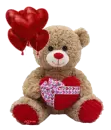 valentine bear plushie