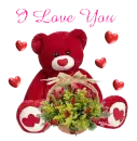 valentine bear plushie