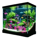 fish aquarium